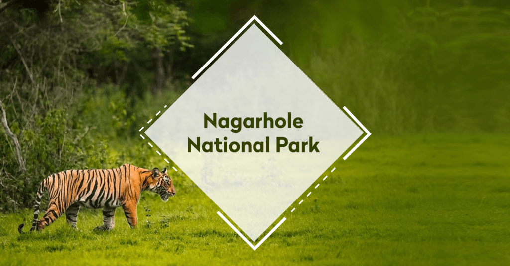 Nagarahole National Park