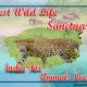 Wildlife sanctuary india