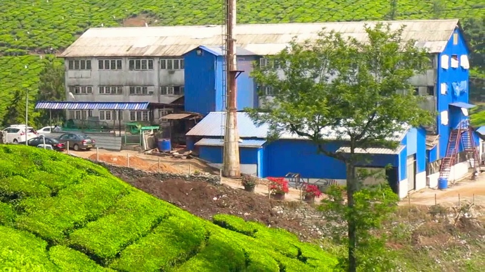 ponmudi tea factory