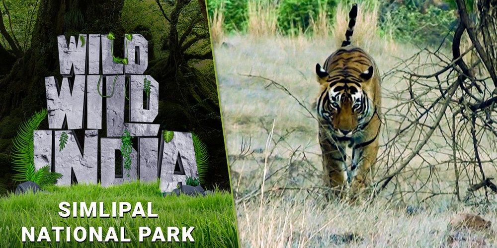 Simlipal National Park A UNESCO Biosphere ReserveMemorable India Blog