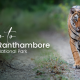 Ranthambore National Park