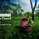 The-Complete-Assam-Travel-Guide-Where-To-Go-What-To-Do