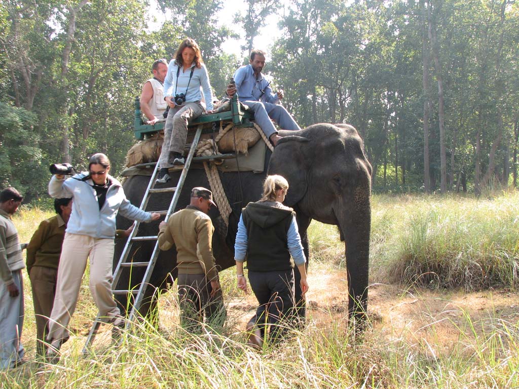 Elephant Safari at Kanha National Park Madhya Pradesh India