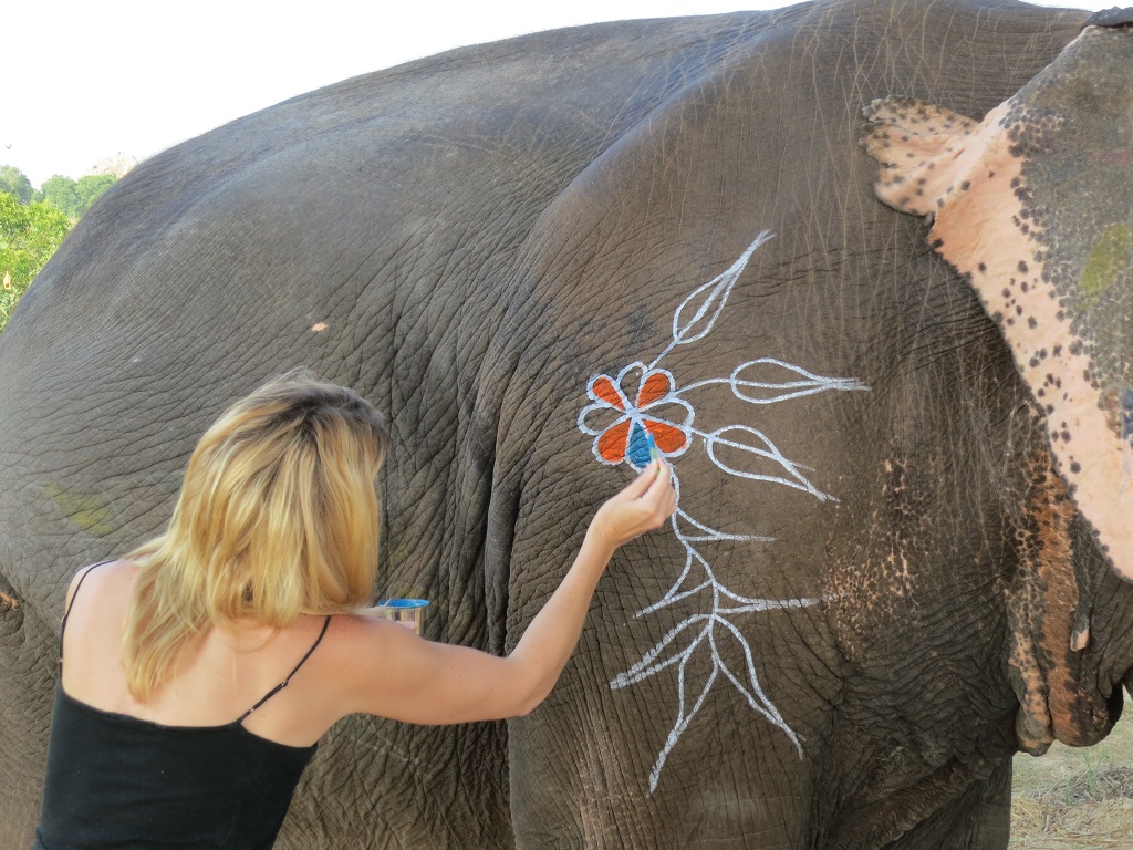 Elephant Paintings in Jaipur Rajasthan India