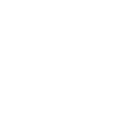$5