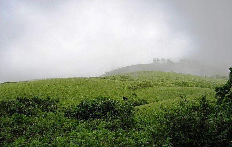 Green Meadows of Vagamon, Kerala