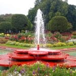 Best flower exhibit in town: The Royal Mughal gardens