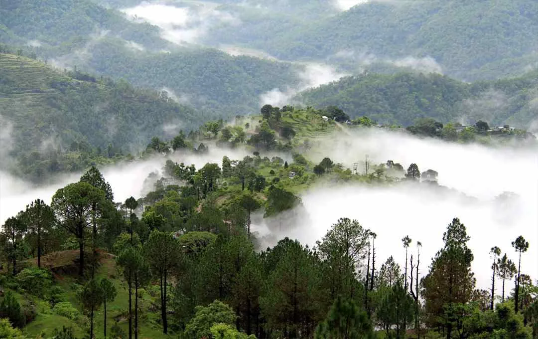Lansdowne Hill Retreat: Peaceful Getaway in Uttarakhand