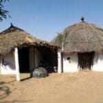 Bishnoi Village Safari Jodhpur – An eco-friendly safari