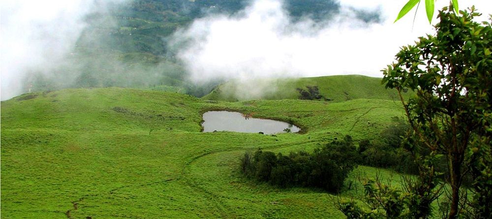 Kalpetta