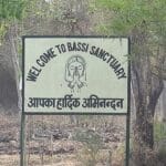 Bassi Wildlife Sanctuary – An excellent wildlife expedition Center in Chittorgarh