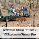 Ranthambore National Park – A perfect holiday spot for Enthusiastic wildlife and nature lover to venture in wild