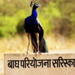 Sariska National Park – One of the best adventuresome wildlife national park in Rajasthan