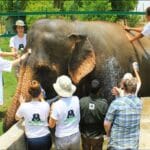 Agra Wildlife SOS –  The Call of the Wild