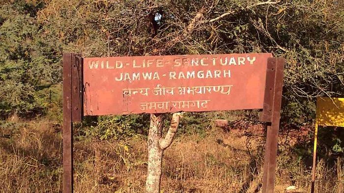 Jamwa Ramgarh Wildlife Sanctuary – A major tourist attraction near the pink city