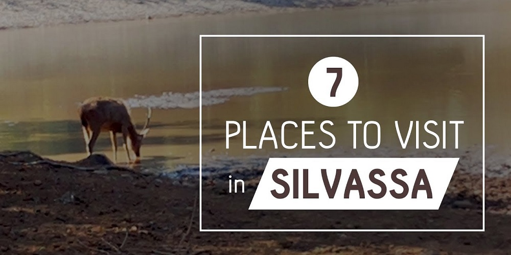 Exploring The Warli: Things To See And Do On Your Silvassa Tour