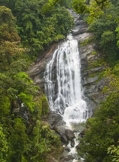 Atukkad-Waterfalls-Munnar