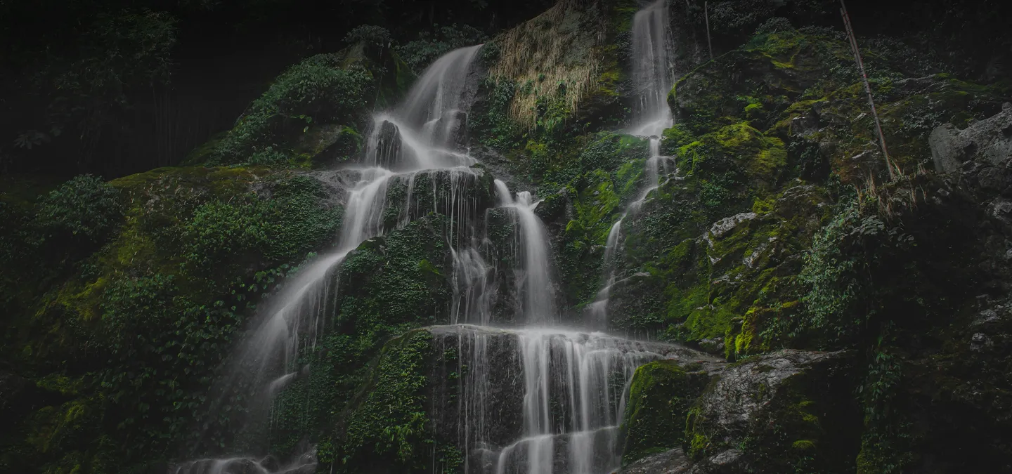Darjeeling Gangtok Tour Package