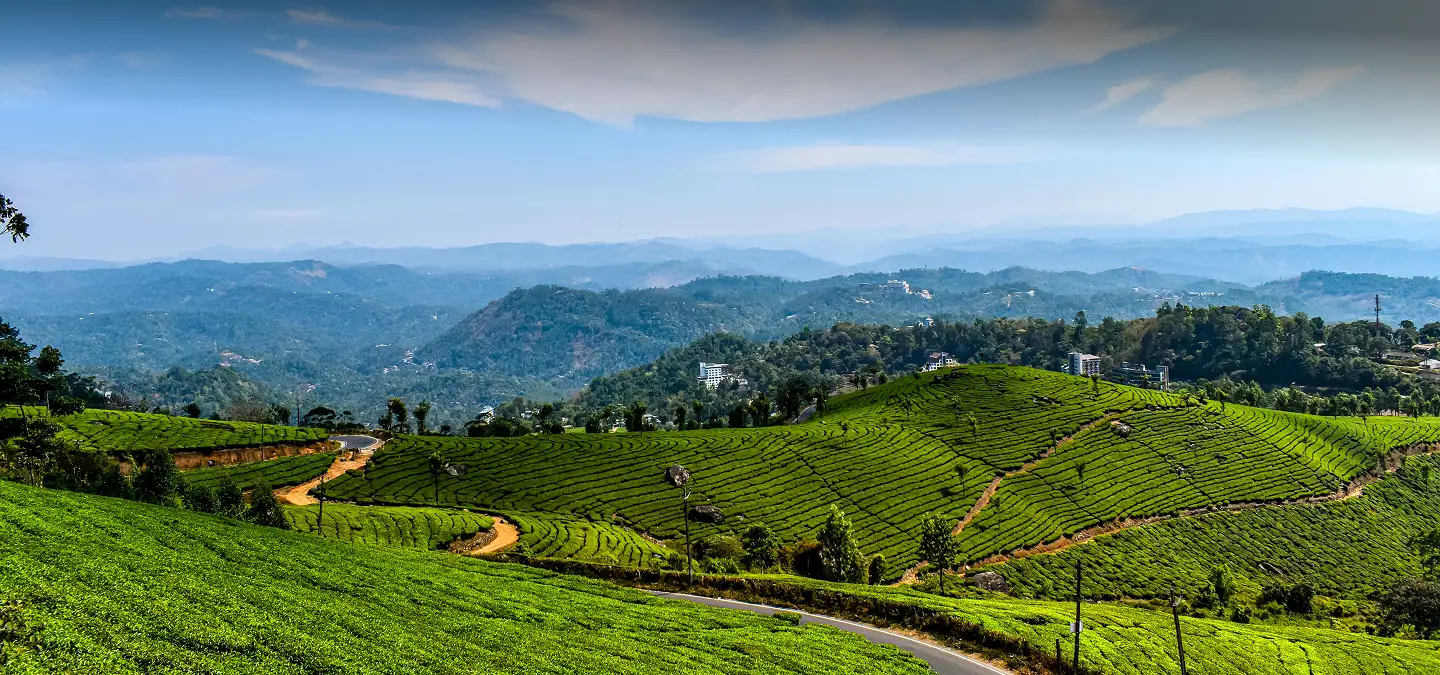 Munnar-Tour-Hero-banner