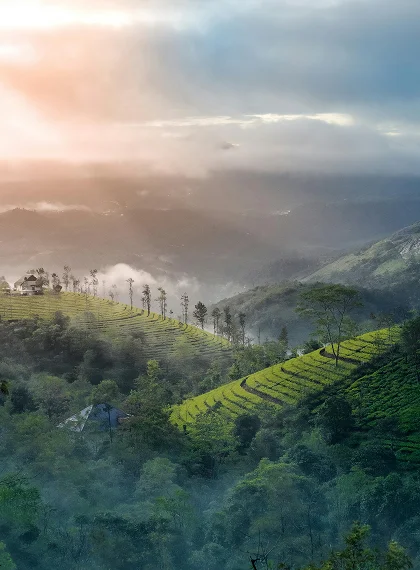 Top-Station-Munnar