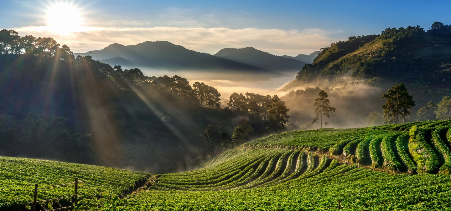 Coonoor – Natures Retreat