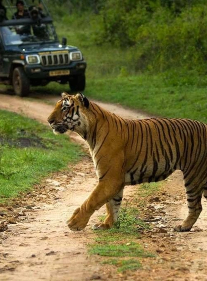 Nagarhole-National-Park-coorg