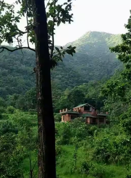 Sitabani-Forest-reserve