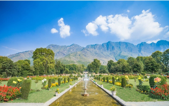 water-fountain-Srinagar