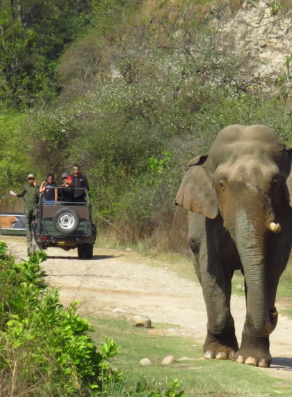 jhirna-zone-jim-corbett