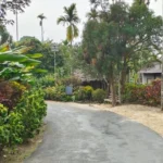 12 Most Beautiful Villages in India Worth Visiting
