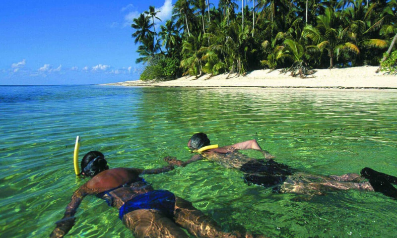 6 Best Snorkeling Spots in Andaman for Marine Lovers