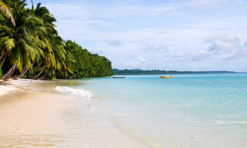 Exploring Havelock Island: A Paradise in the Andaman
