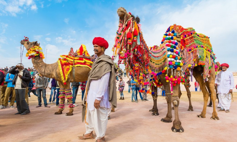 Pushkar Camel Fair: What Makes It a Bucket-List Experience
