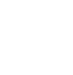 $5