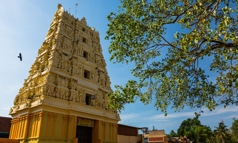 11 Ancient Temples in Palakkad Kerala for a Soulful Spiritual Journey