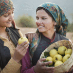 12 Beautiful Apple Orchard Destinations in India for a Scenic Mountain Getaway
