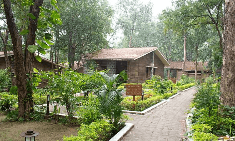 6 Luxury Forest Resorts You Have to Spend a Night In!