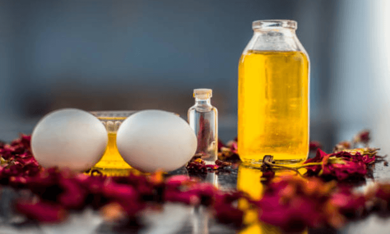 Ayurveda Knowledge of Life
