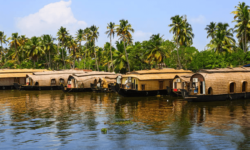 Best Time to Visit Kerala: A Complete Season-by-Season Guide