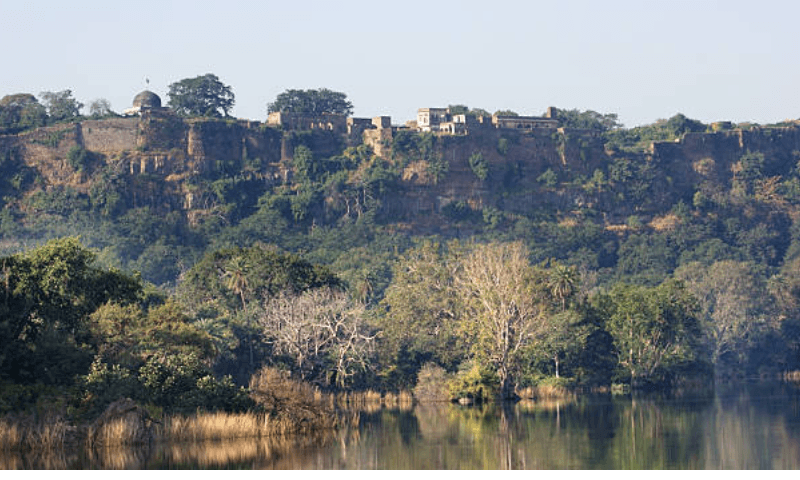 Popular tourist attraction in Ranthambore, Rajasthan and other famous places