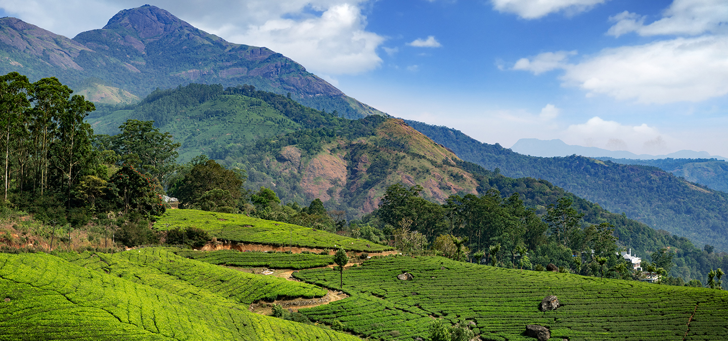 Kerala Hill-Station Packages