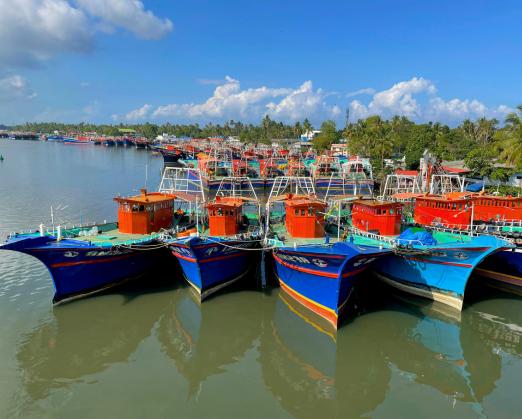 Practical Planning Guide for Kerala Hill Station Packages