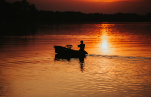 boat safari in periyar lake