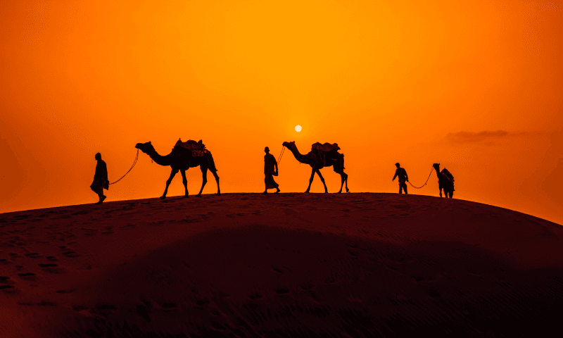 Barmer Travel Guide_ Culture, Desert, and Traditional Crafts