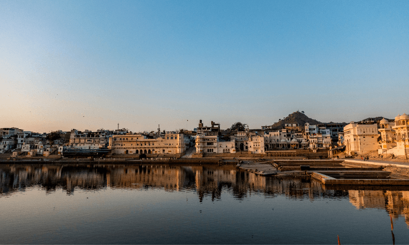 Dholpur Rajasthan Chambal Safari and Historic Palaces Worth the Detour