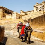 Elefantastic Jaipur Experience: Your Guide to Ethical Elephant Interaction