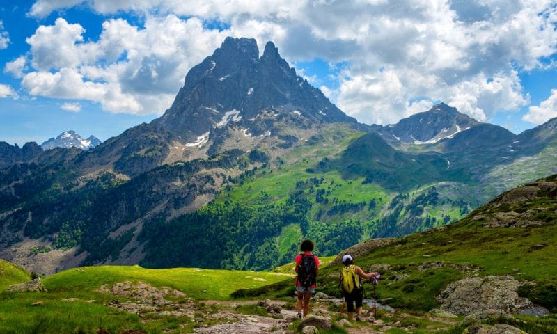 Summer Hill Station Tours: Best Escapes for Families & Couples (With Prices)