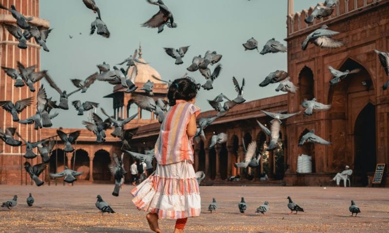 12 Best Travel Tips for Visiting India with Your Kids