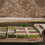 15 Amazingly Beautiful Gardens in India Worth Crossing the Country For