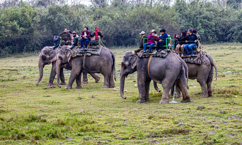 Thekkady